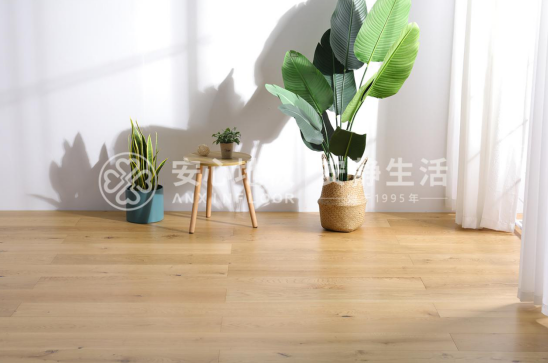 產品2.png